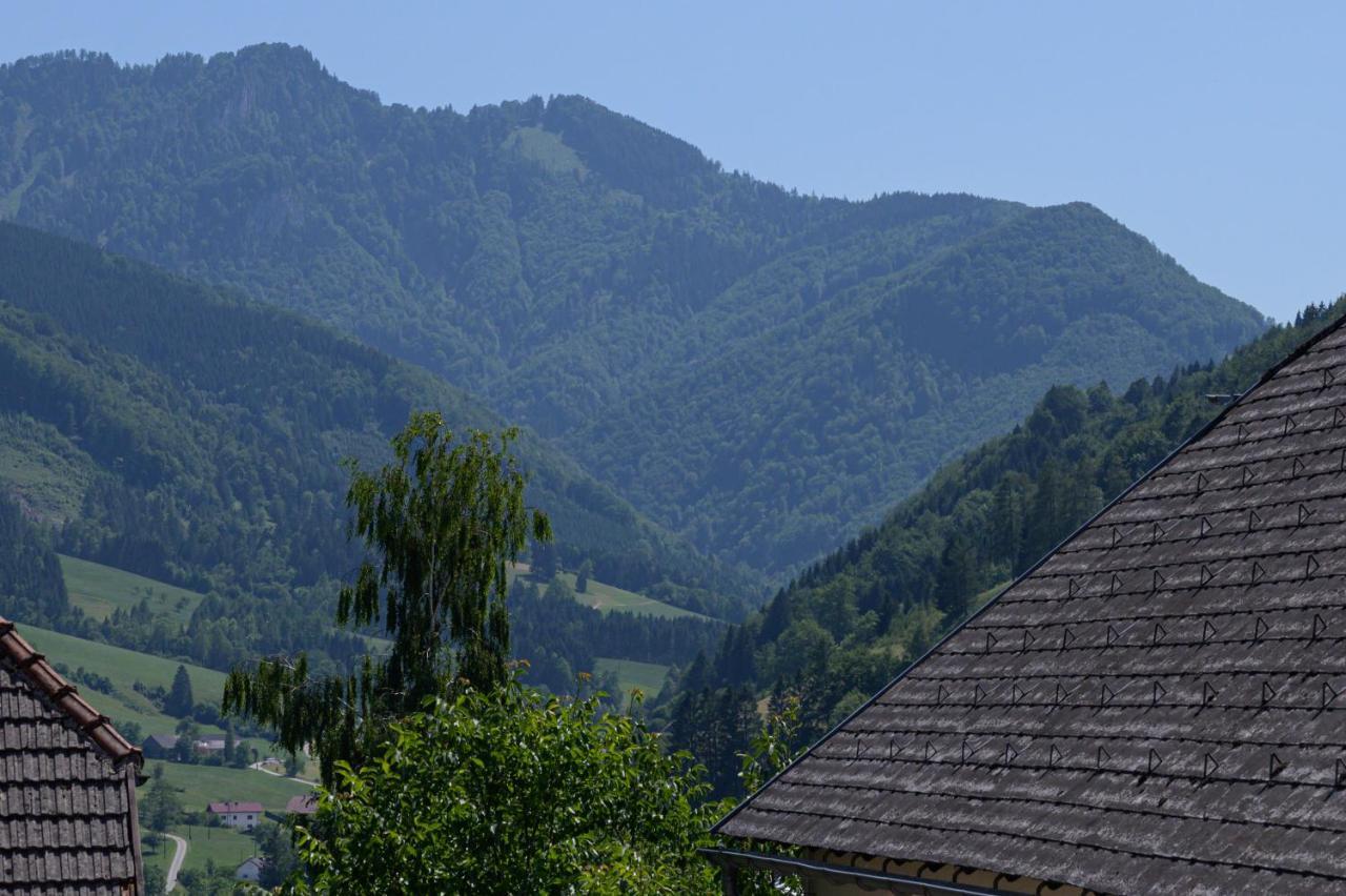 Landgasthof Kirchenwirt Grossraming Exterior photo